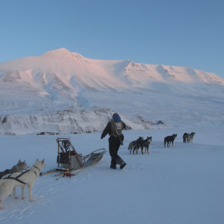 Dogsledding in Spitsbergen