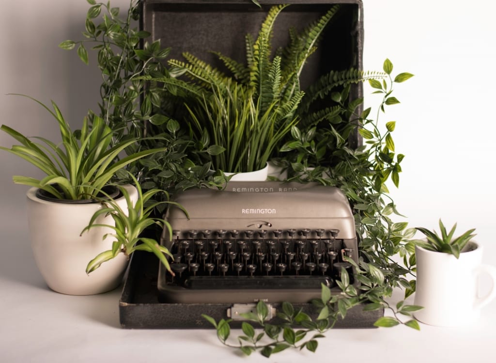 green storytelling