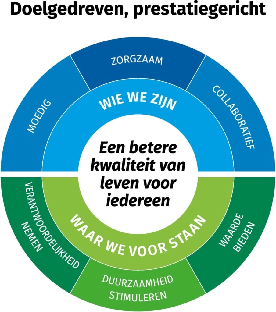 Culture Compass DSM