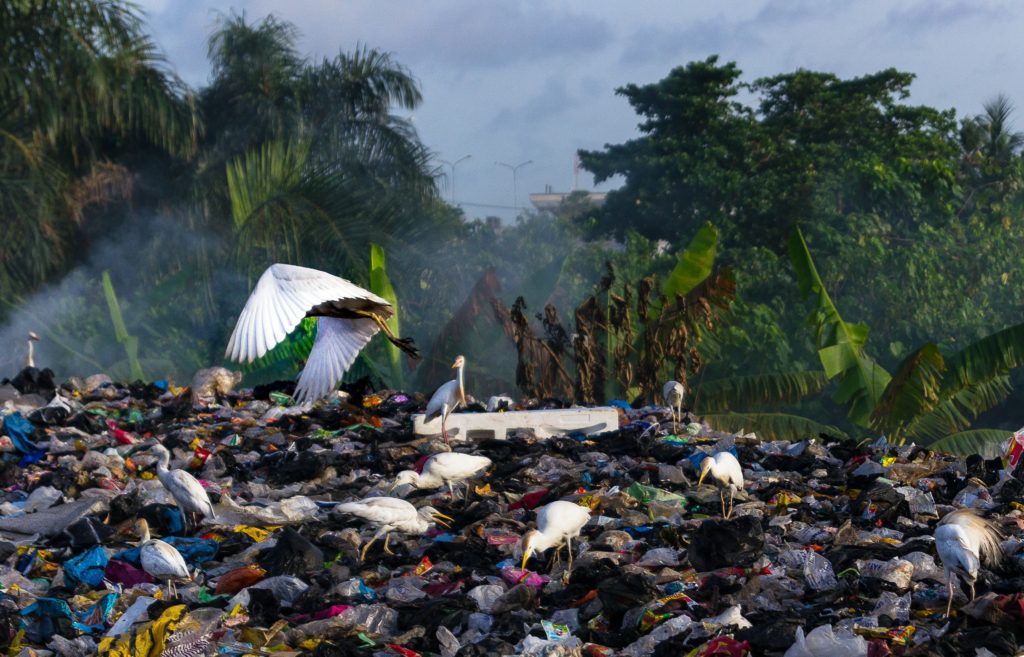 Leiderschapslessen uit afval | Green Culture Lab