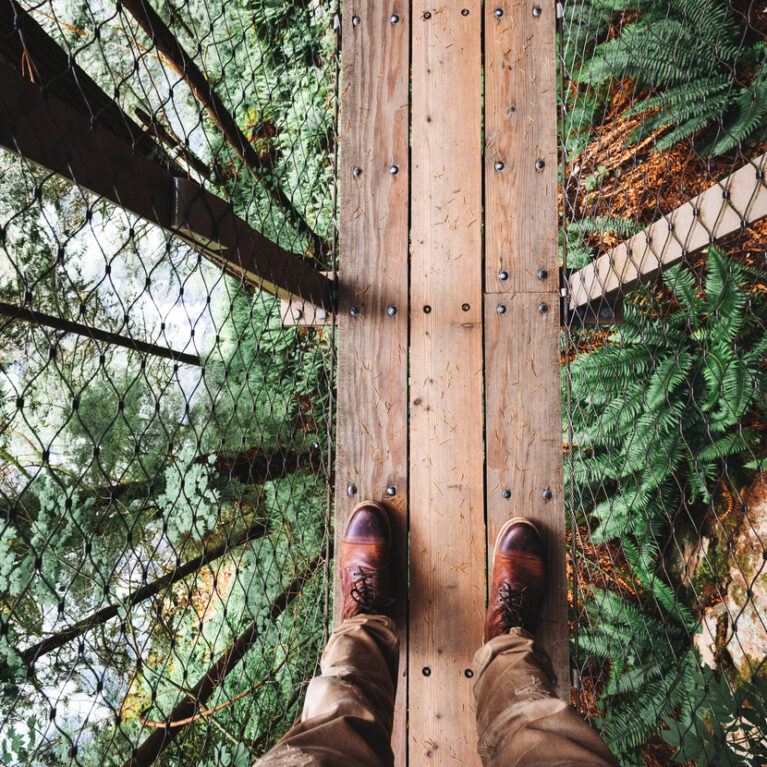 Suspended bridge in north america