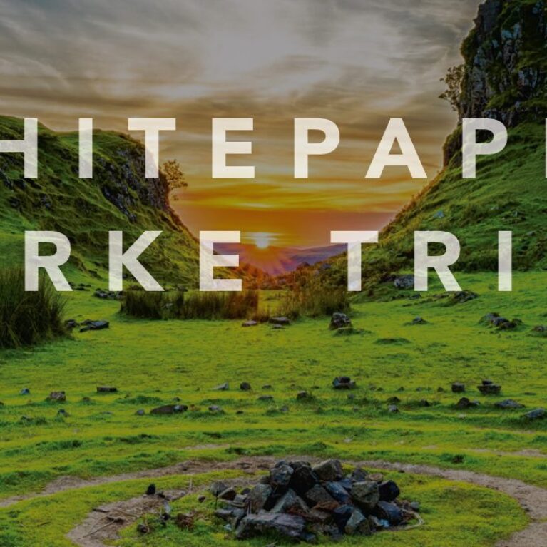 Whitepaper Sterke Tribes